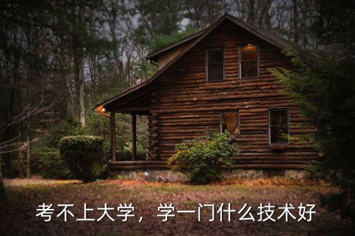 考不上大学，学一门什么技术好