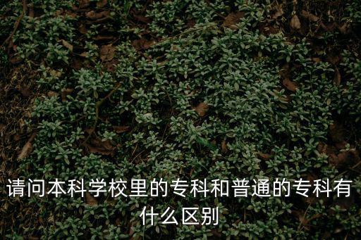 大专和专科又什么区别,大专和技校有什么区别