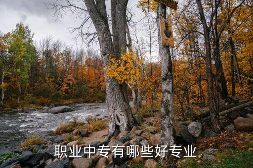 职业中专有哪些好专业