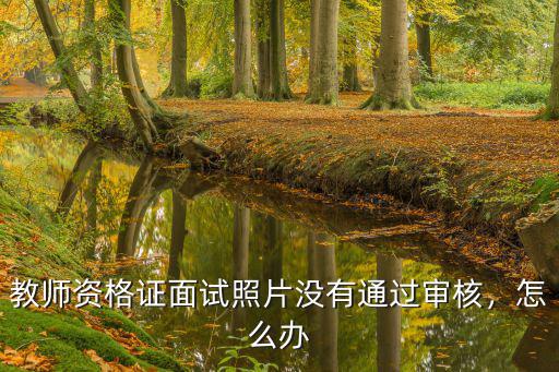 教师资格证面试照片没有通过审核，怎么办