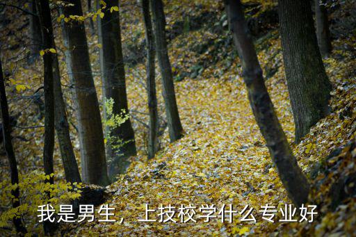 我是男生，上技校学什么专业好