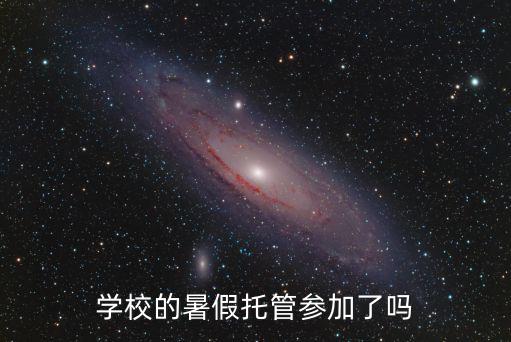 学校的暑假托管参加了吗