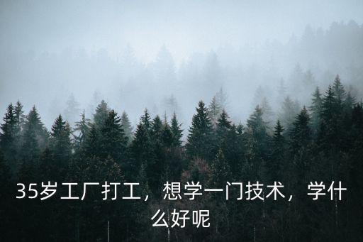 想去公司上班 学什么技术好,我们学技术学什么比较好