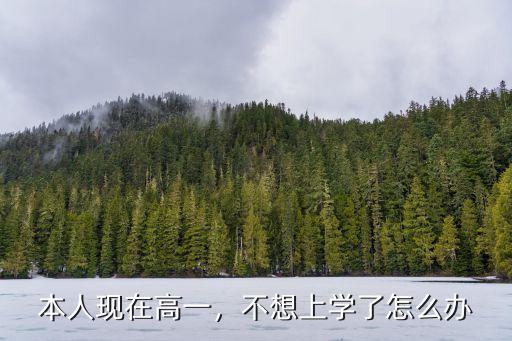 本人现在高一，不想上学了怎么办