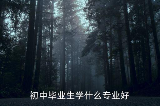 初中以后念什么专业好,初中毕业去技校学什么专业好