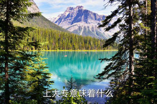 大专之后是什么,上大专意味着什么