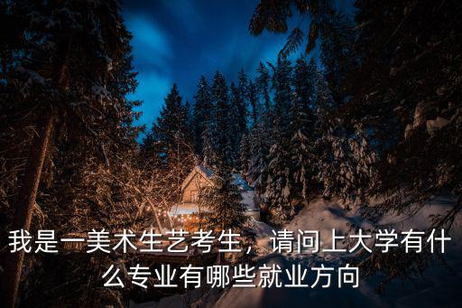 我是一美术生艺考生，请问上大学有什么专业有哪些就业方向