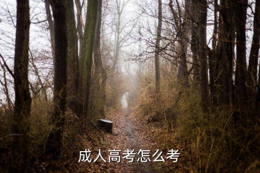 成人高考怎么考才能考过,成人高考到底难不难