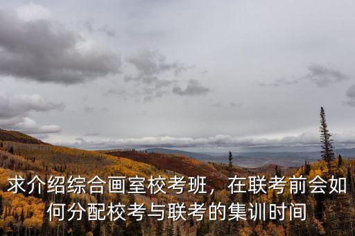 求介绍综合画室校考班，在联考前会如何分配校考与联考的集训时间