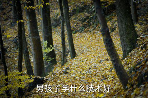 男生做什么技术好,男孩子学什么技术好