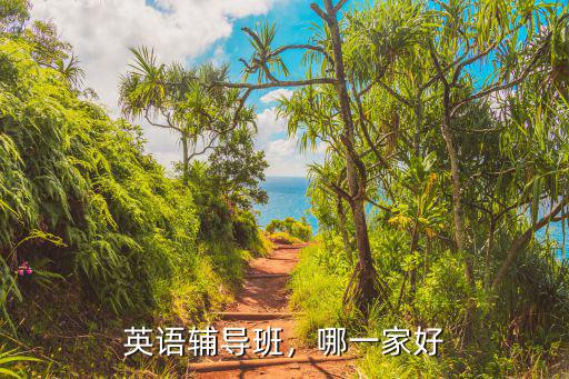 英语补课哪里好,哪个英语补习班比较好