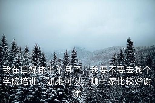 我想要怎么样的培训如何回答,我想做网红培训