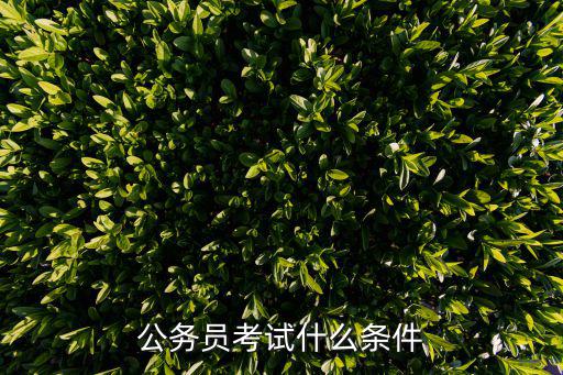 2016公务员考什么,公务员遴选考试考什么