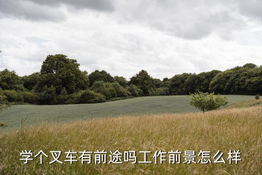 叉车司机就业率怎么样,叉车司机职业怎么样