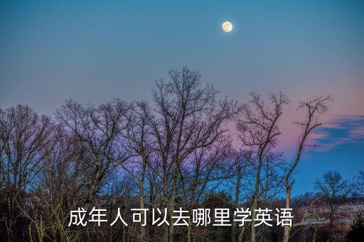 成年人可以去哪里学英语