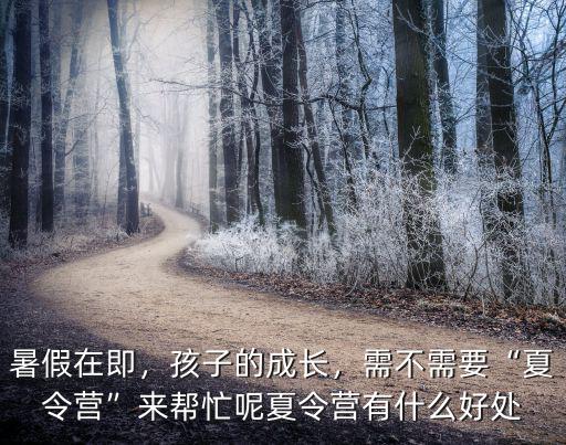 暑假在即，孩子的成长，需不需要“夏令营”来帮忙呢夏令营有什么好处