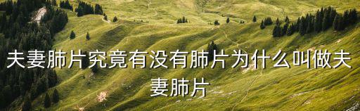 夫妻肺片哪里可以学,夫妻肺片究竟有没有肺片