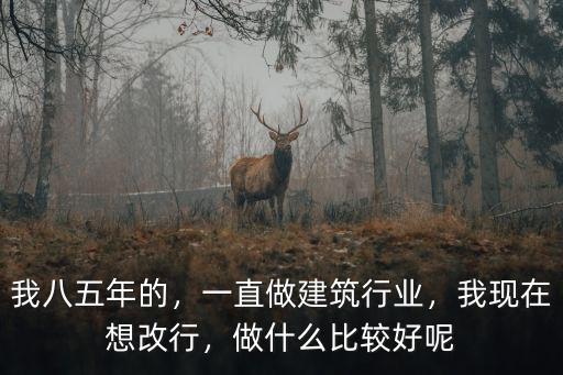 建筑行业做什么好,一直做建筑行业