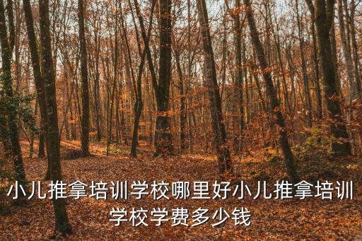 武汉哪里推拿培训学校,小儿推拿培训学校哪里好