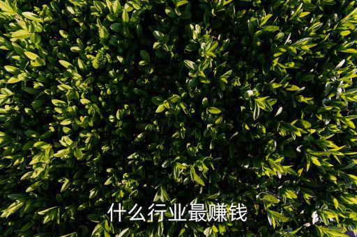 什么行业最赚钱