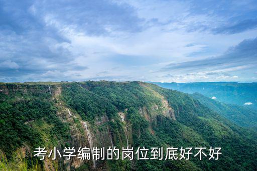 小学教师怎么考编制,上班族怎么考小学教师编制