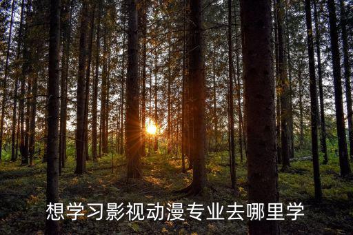 学影视动漫专业怎么样,学习影视动漫专业怎么样