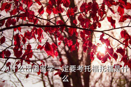 托福用什么试题,为什么出国留学一定要考托福