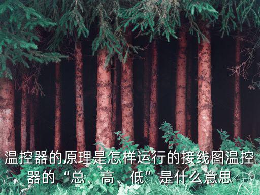 不属于控制条件的是什么意思,人的思想是由自己控制的吗