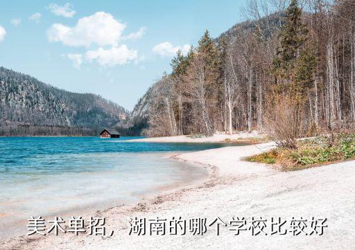 美术单招，湖南的哪个学校比较好