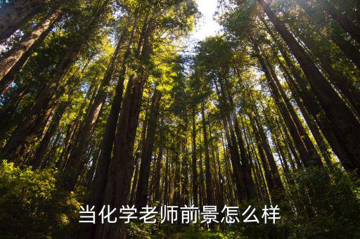 当化学老师前景怎么样