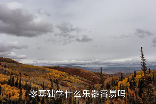 乐器 零基础 学什么,成年人零基础想学乐器