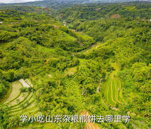 学小吃山东杂粮煎饼去哪里学