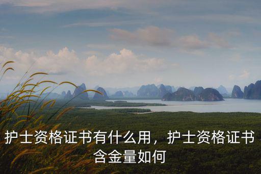 护士资格证书有什么用，护士资格证书含金量如何