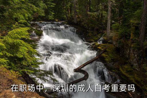 在职场中，深圳的成人自考重要吗