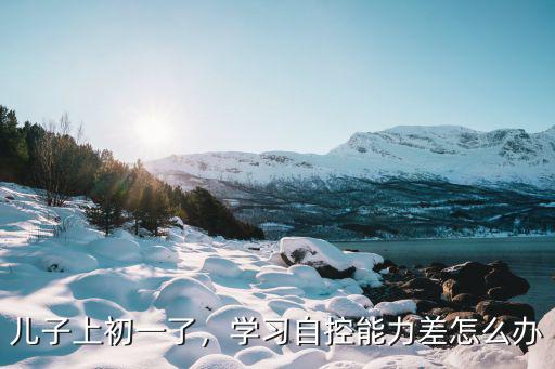 儿子上初一了，学习自控能力差怎么办