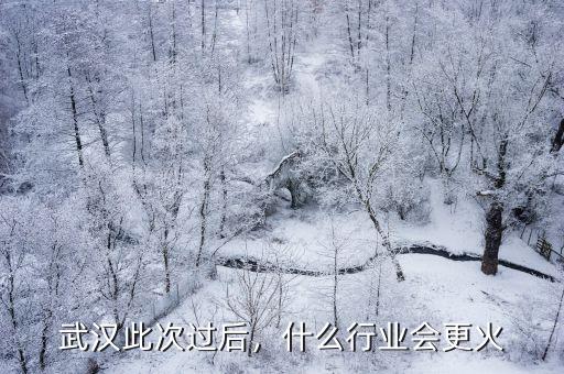 武汉什么行业火爆,什么行业会更火