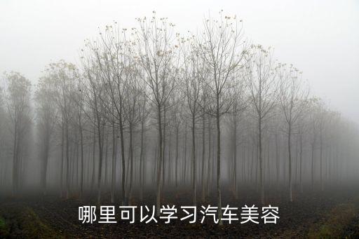 哪里可以学习汽车美容