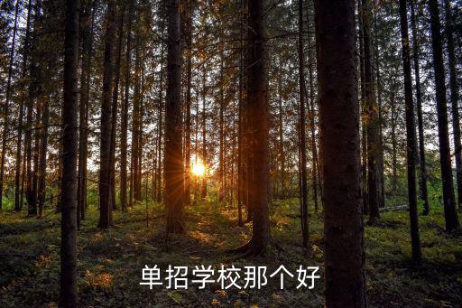 单招学校那个好