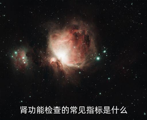 肾功能检查的常见指标是什么