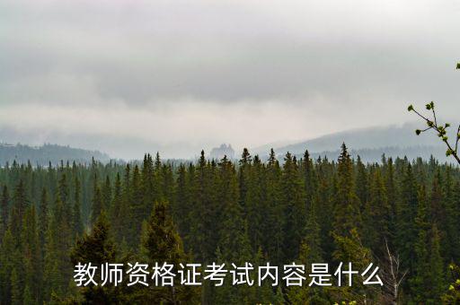 教师资格证考试内容是什么