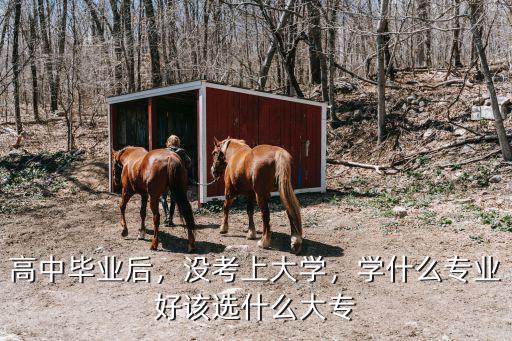 高中毕业后，没考上大学，学什么专业好该选什么大专