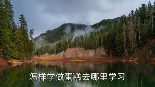 怎样学做蛋糕去哪里学习