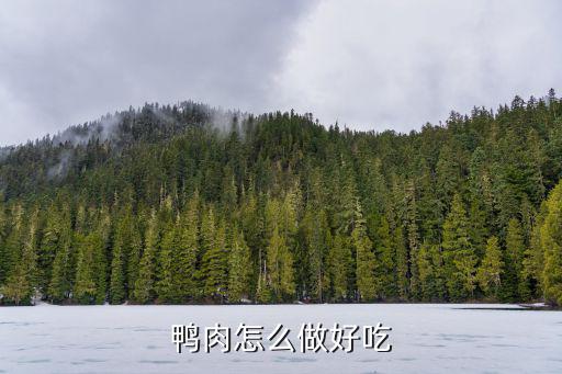 麻辣干锅鸭怎么做,干锅啤酒鸭怎么制作