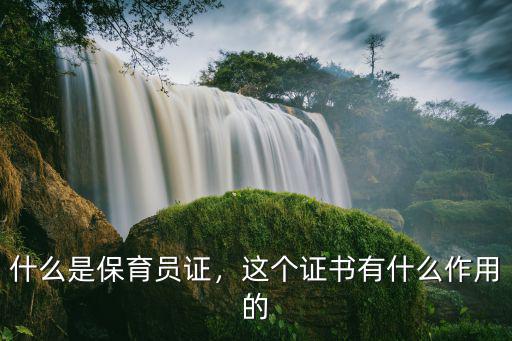 保育员三级是什么概念,保育员不同级别的区别是什么