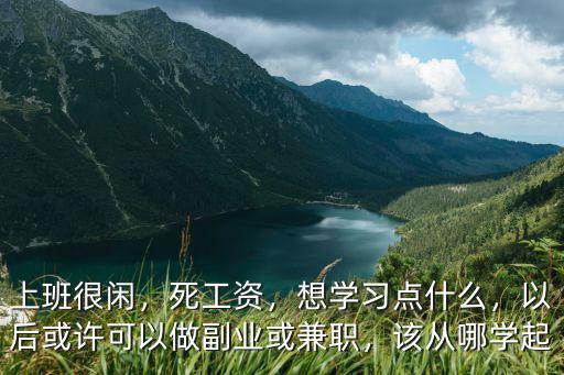 上班很闲，死工资，想学习点什么，以后或许可以做副业或兼职，该从哪学起