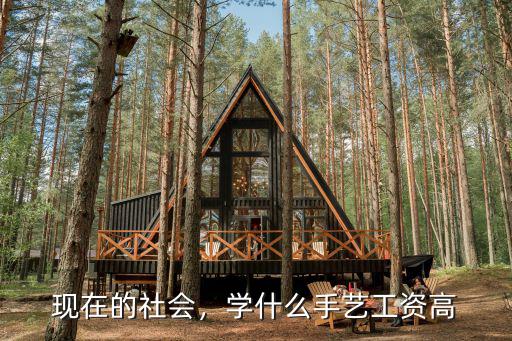 现在的社会，学什么手艺工资高
