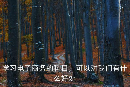 学习电子商务的科目，可以对我们有什么好处