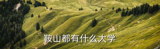 鞍山都有什么大学