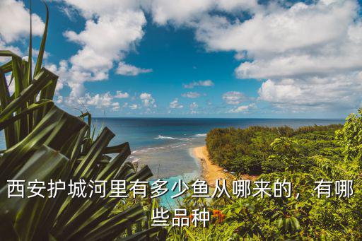 西安哪里有浆水鱼鱼,西安护城河里有多少鱼