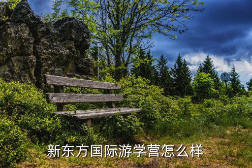 新东方美国夏令营怎么样,新东方国际游学营怎么样
